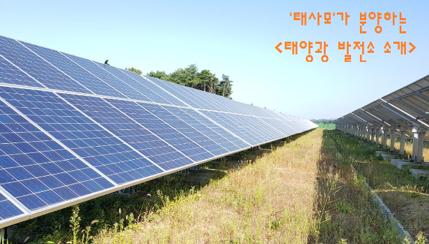 태양광사업2.png