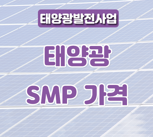 8월-셋째주-smp가격-썸네일.png