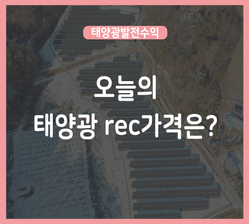 1월-마지막주-rec가격.png