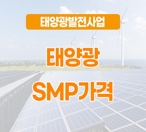 11월-셋째주-smp가격.png